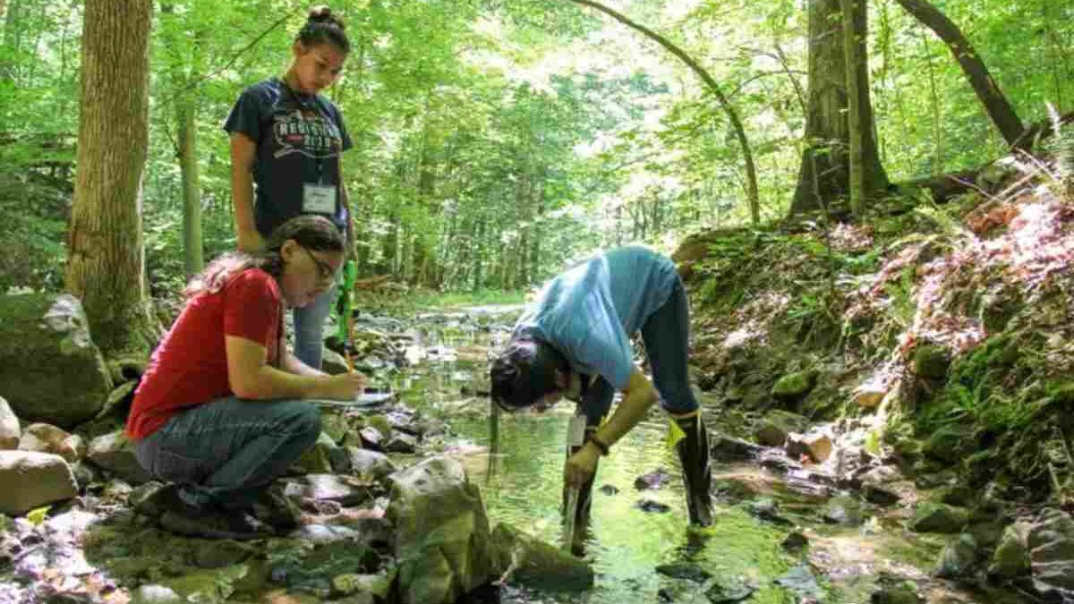 The Importance of Environmental Education in High Schools
