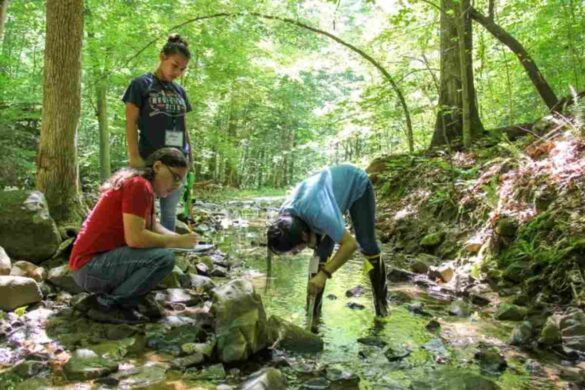 Environmental Education