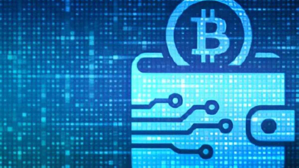 Hardware Crypto Wallet To Secure Your Tokens